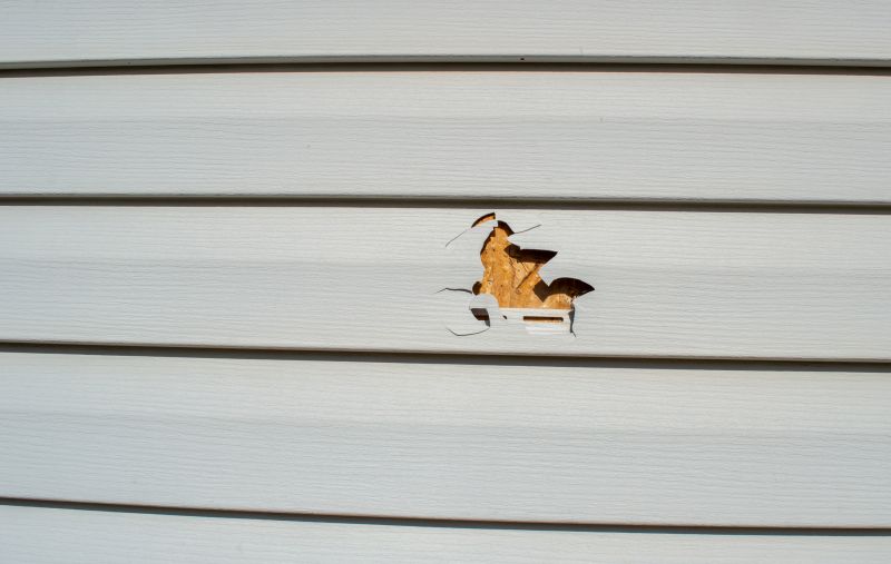 Professional Vinyl Siding Repair